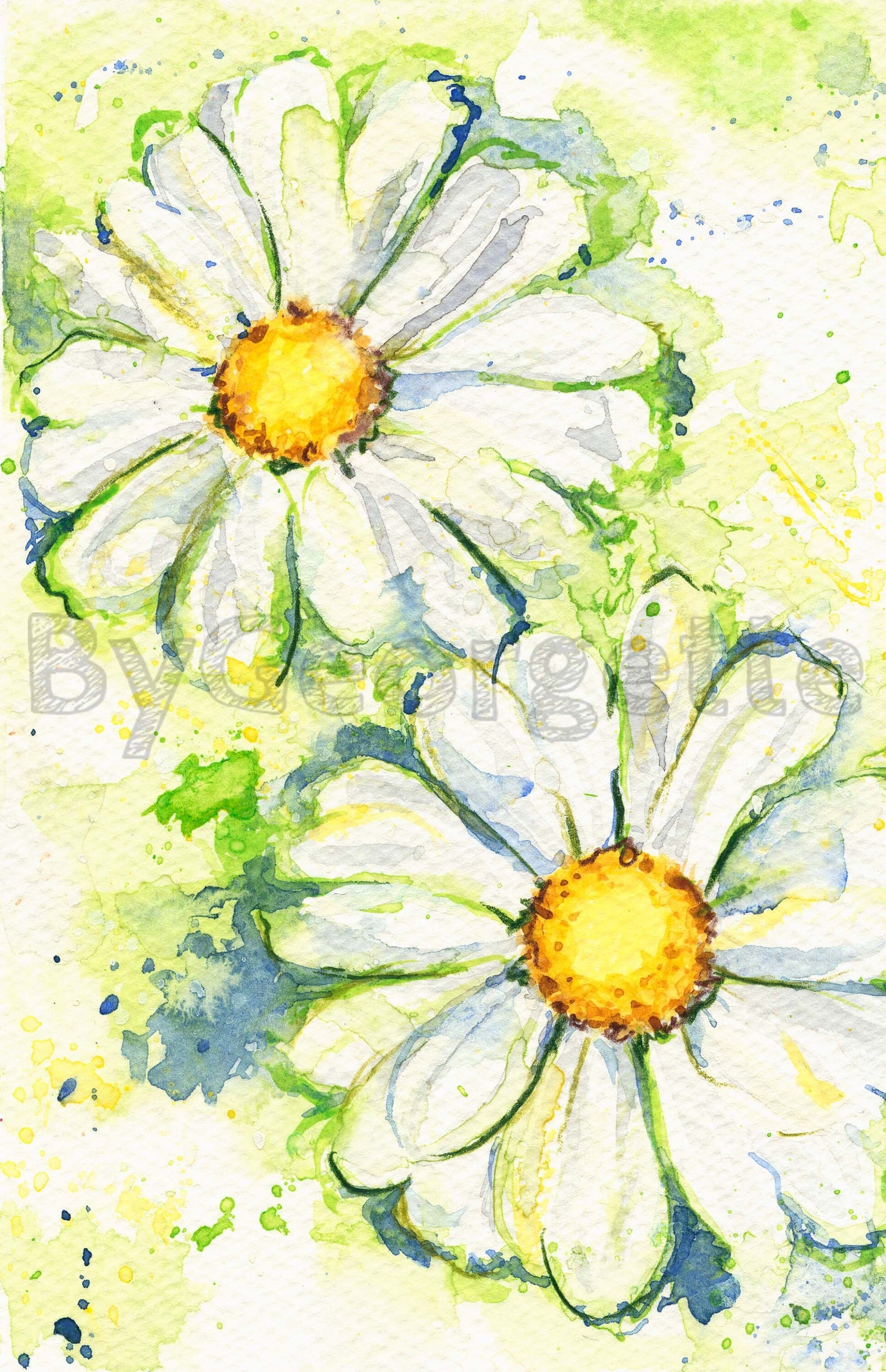 Cards - Original Watercolour Daisy Blank Card & Envelope