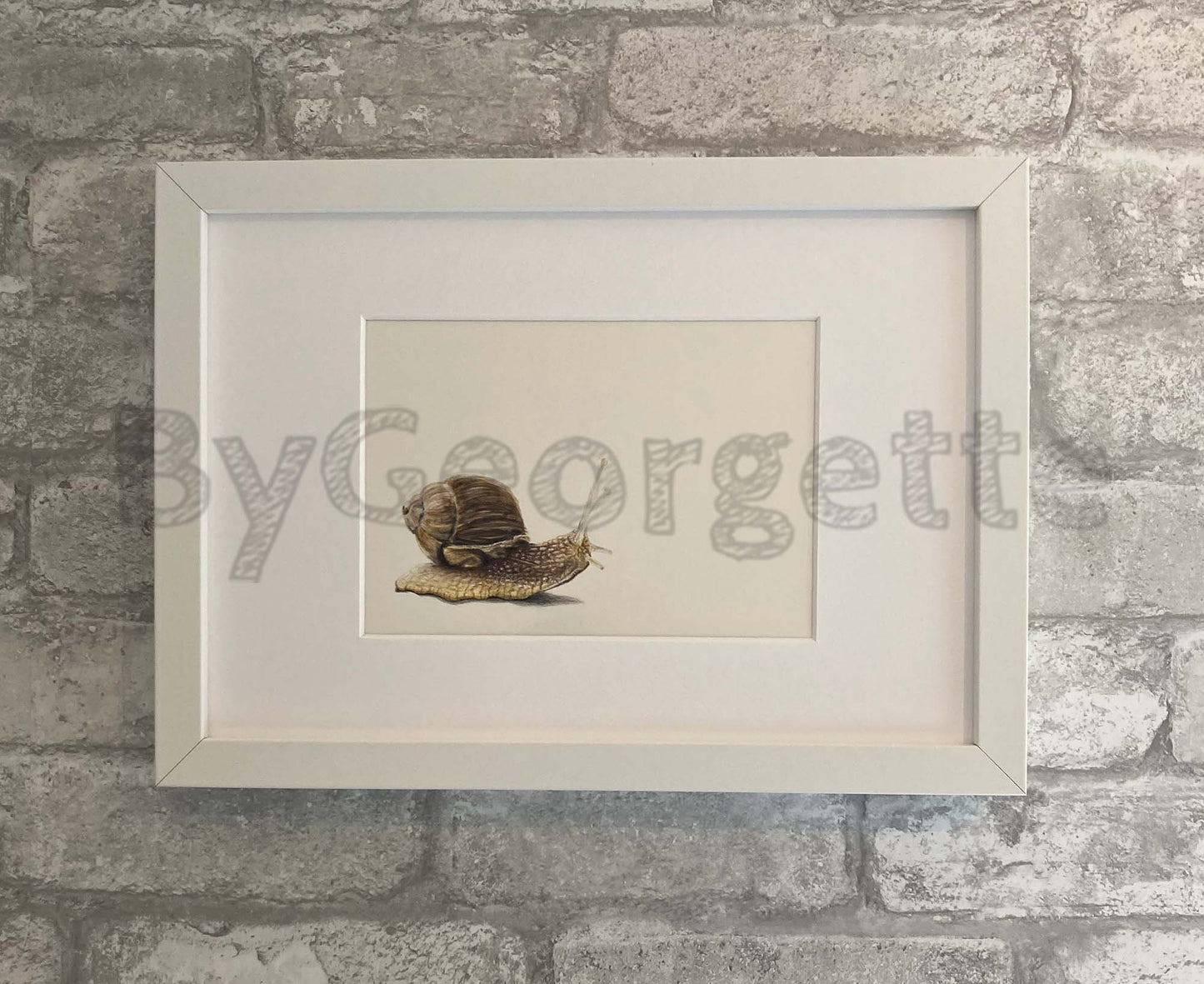 Animals - Brian - Snail Print