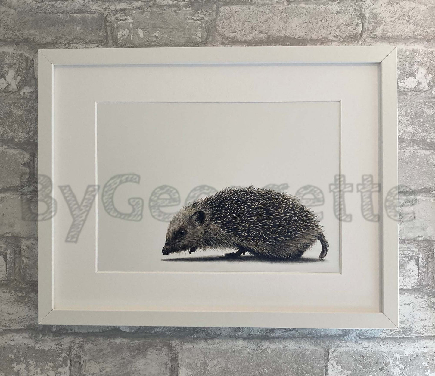 Animals - Spike - Hedgehog Print