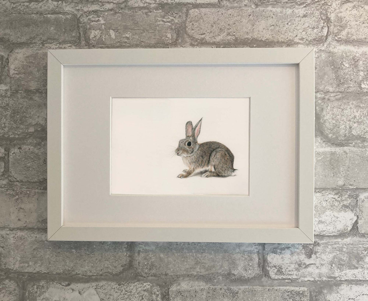 Animals - Harvey - The Bunny Print