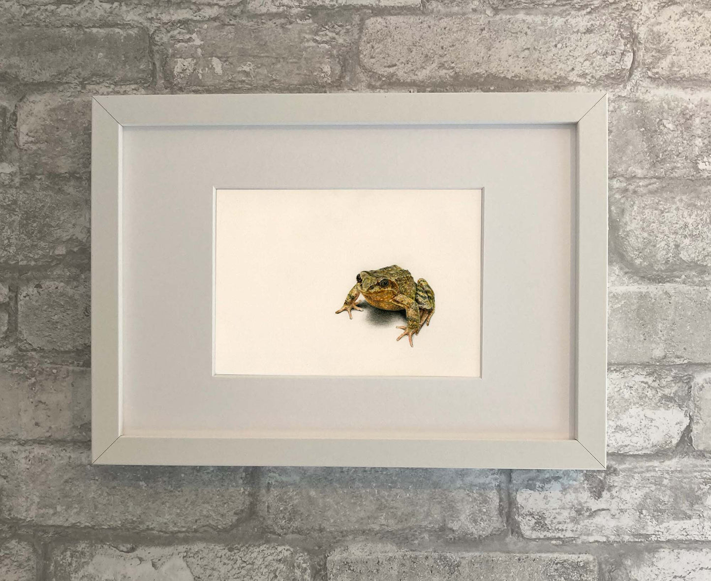 Animals - Jeremy - The Frog Print