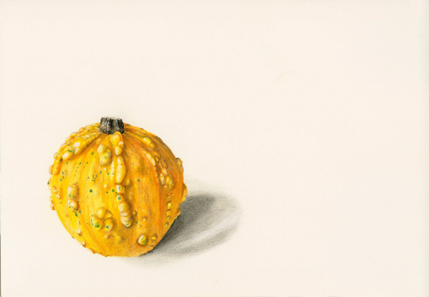 Fruit - Squishy - The Squash Print