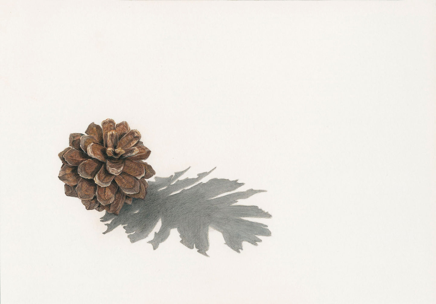 Flora - Tiny - The Fir-Cone Print