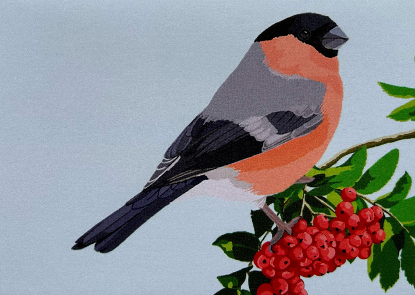 Cards - Finch - Gift Card Bullfinch and Berries