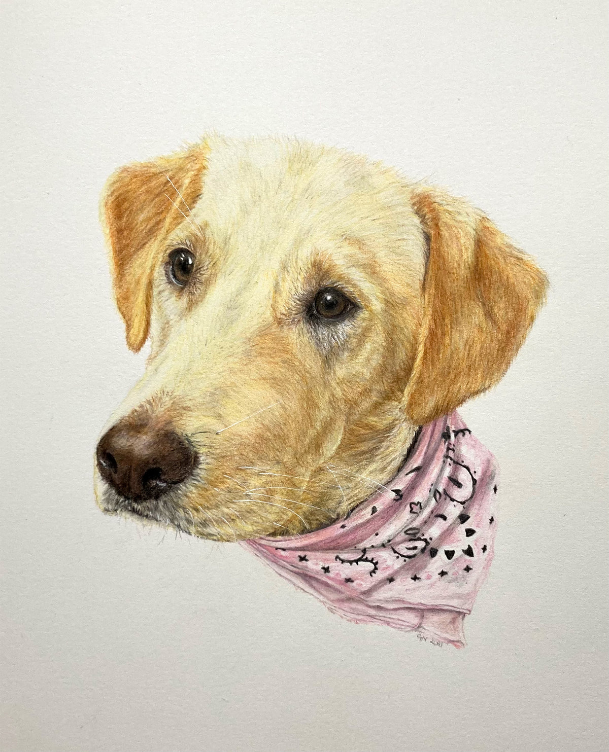 Commission of a Pet