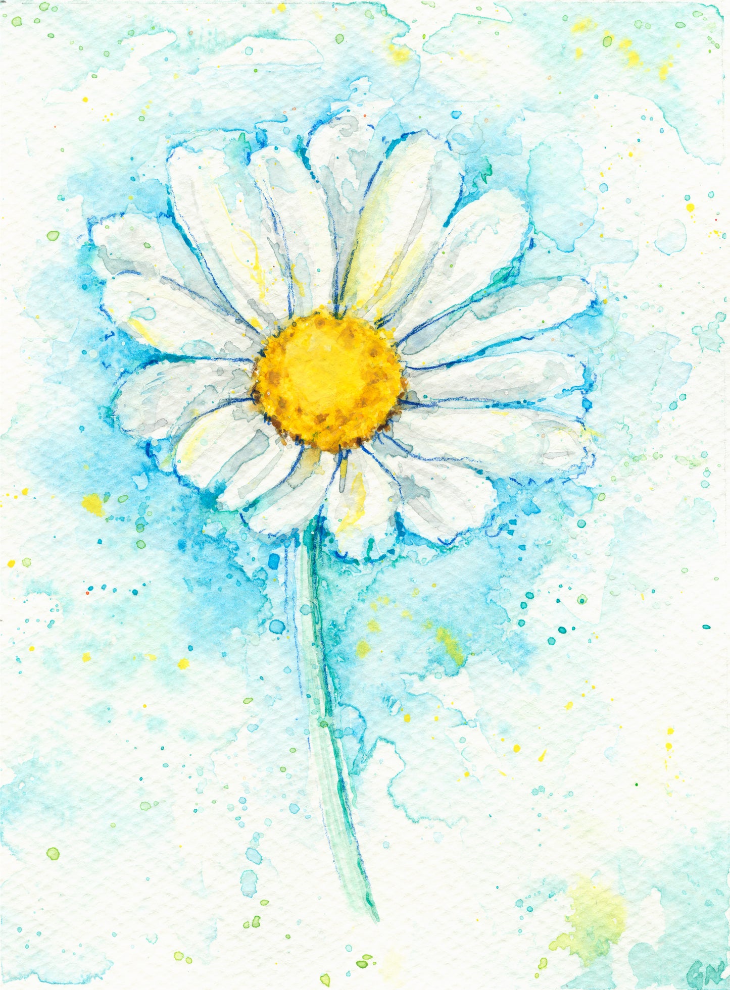 Watercolour - Daisy in Blue
