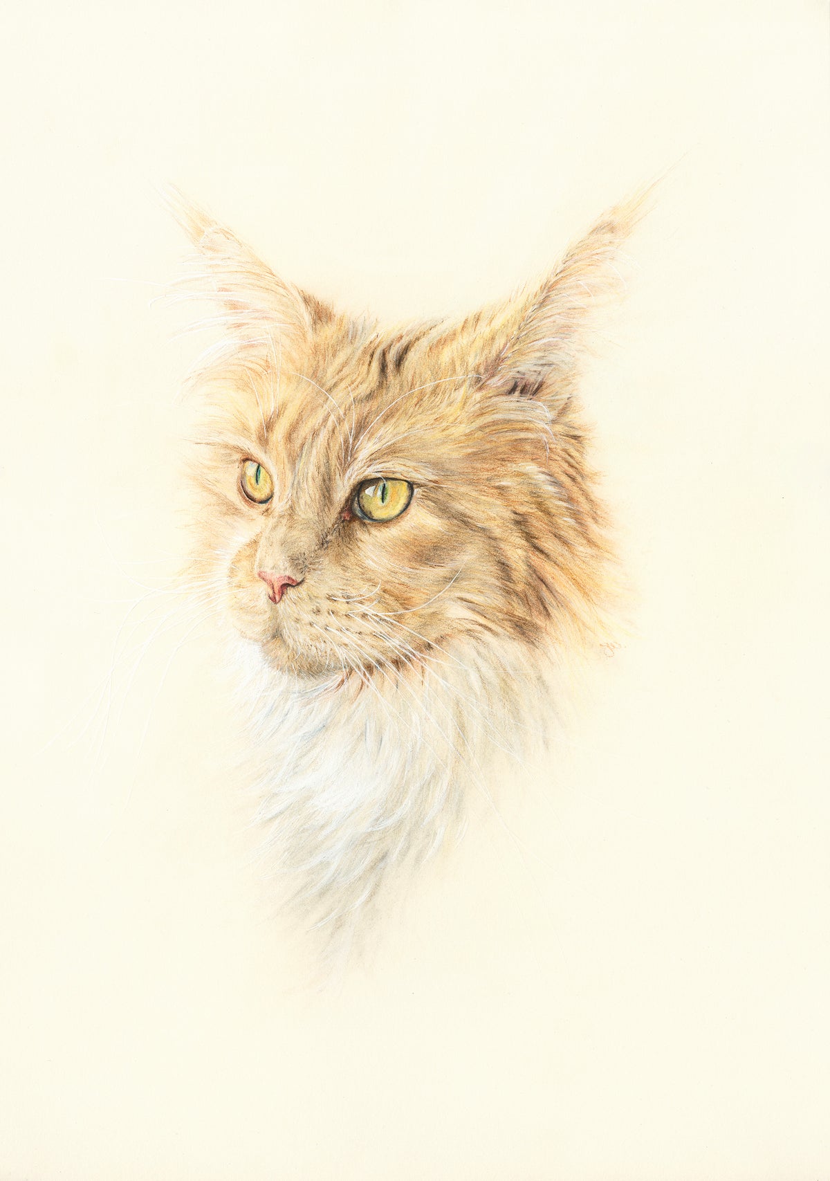 Commission of a Pet