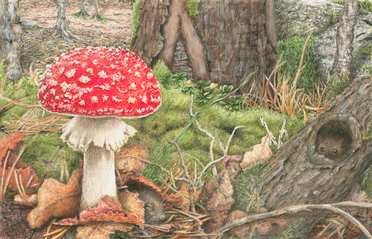 Flora - Forest Mushroom - The Autumnal Woodland Print