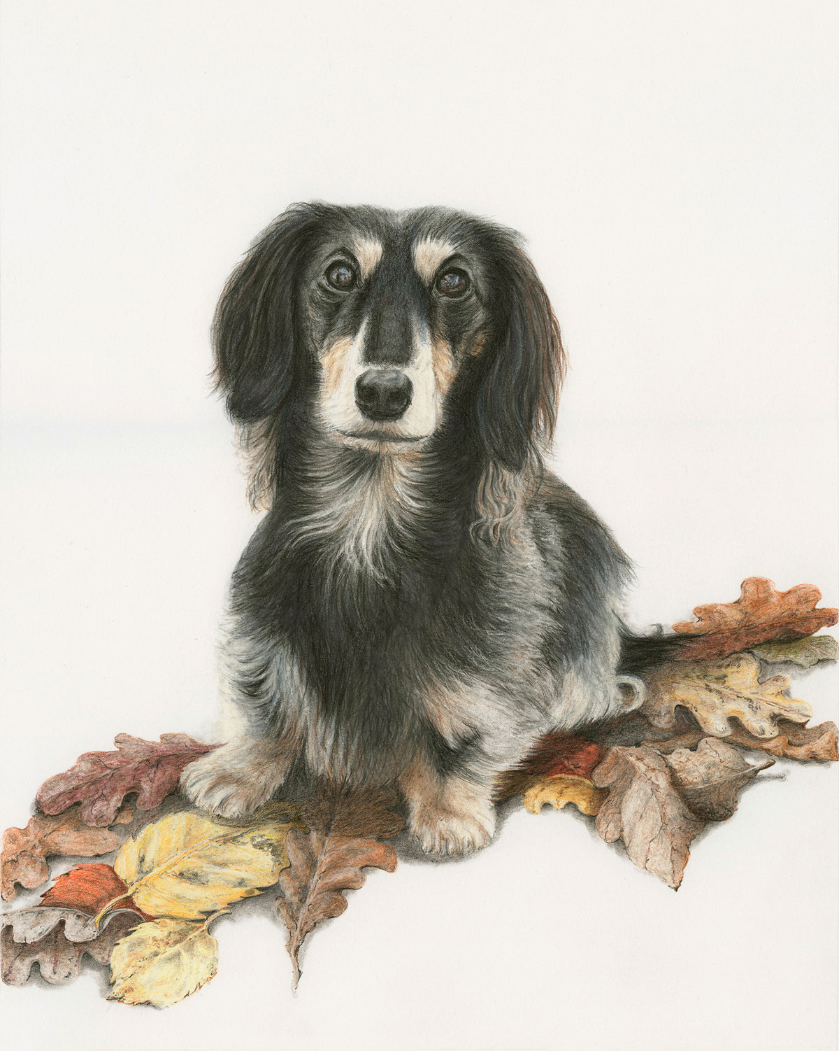 Commission of a Pet