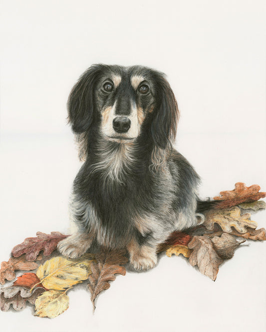 A Commission of a Pet Portrait