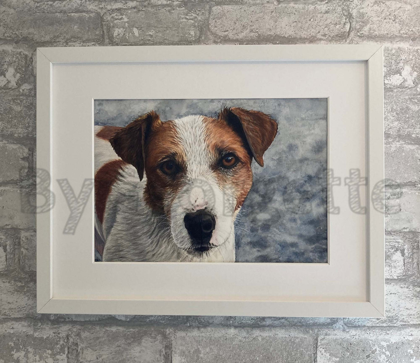 Jack - Dog Portrait - Jack Russel