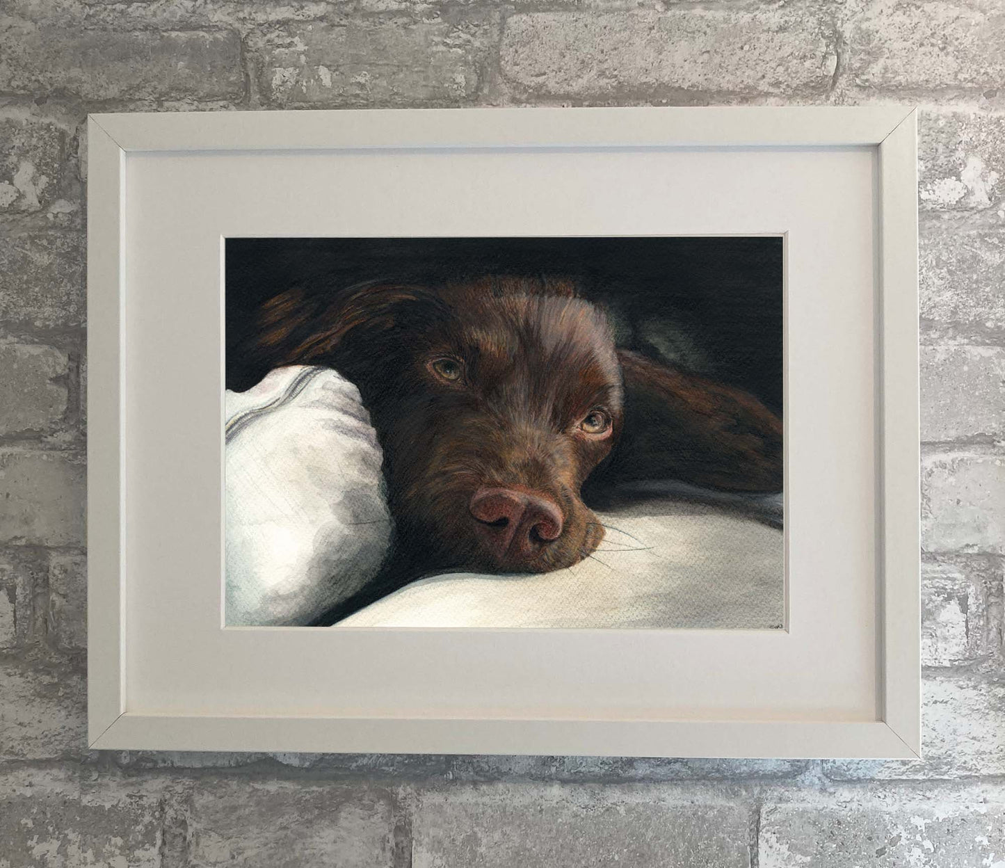 Dog Portrait - Chocolate Spaniel