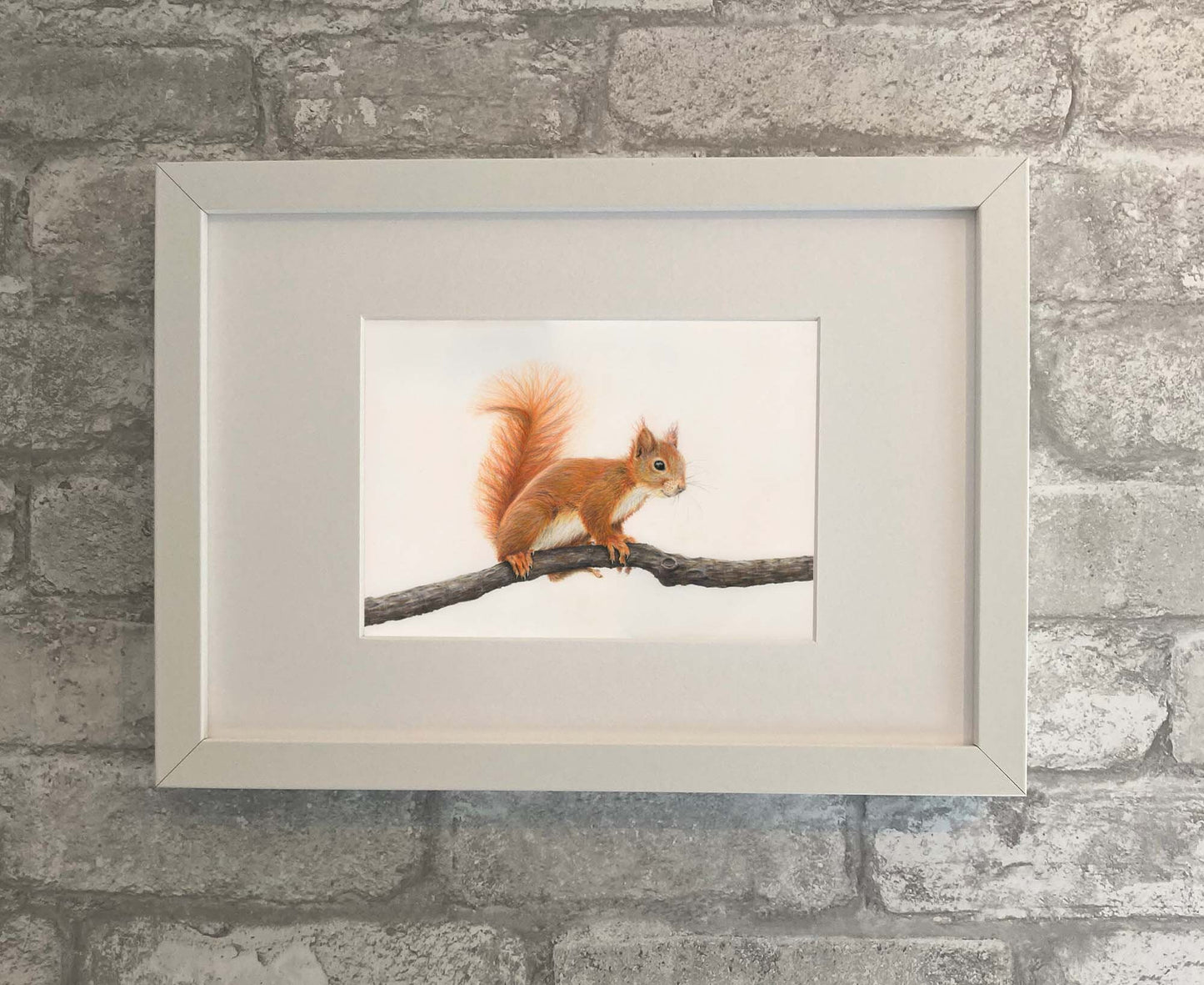 McNutty - The Red Squirrel Print