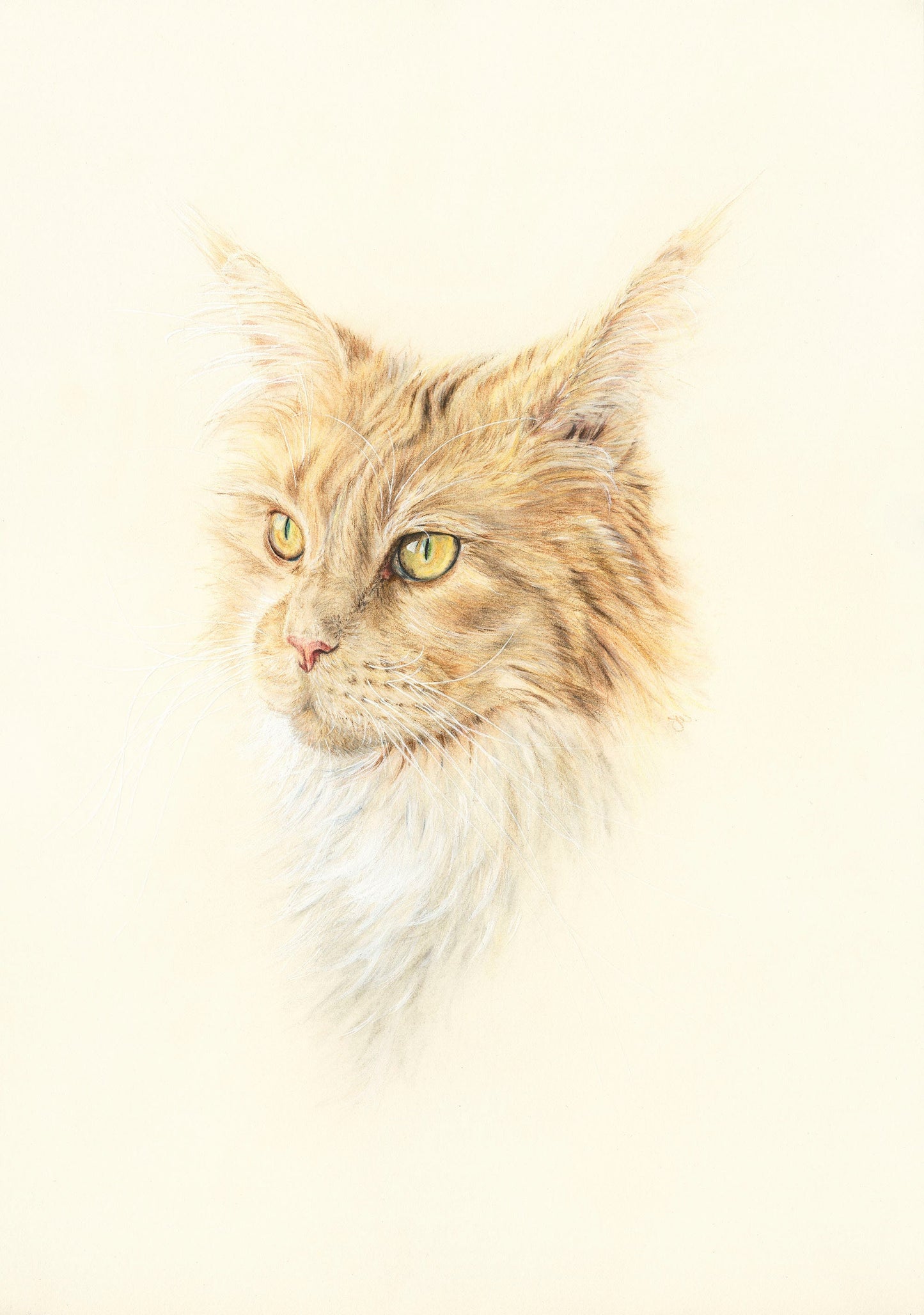 Mademoiselle - Maine Coon Cat Original Portrait Print